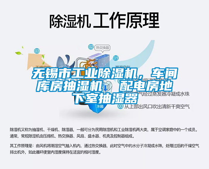 无锡市工业茄子视频懂你更多在线观看，车间库房抽湿机  配电房地下室抽湿器