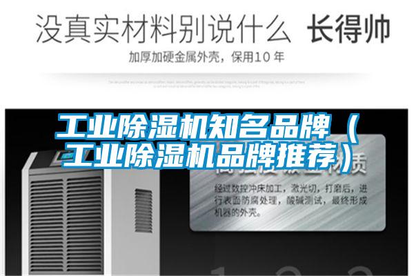 工业茄子视频懂你更多在线观看知名品牌（工业茄子视频懂你更多在线观看品牌推荐）