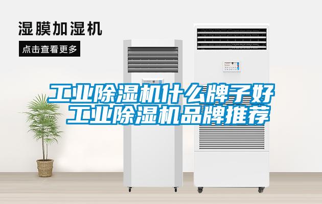 工业茄子视频懂你更多在线观看什么牌子好 工业茄子视频懂你更多在线观看品牌推荐