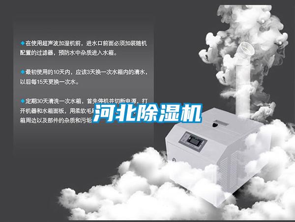 河北茄子视频懂你更多在线观看