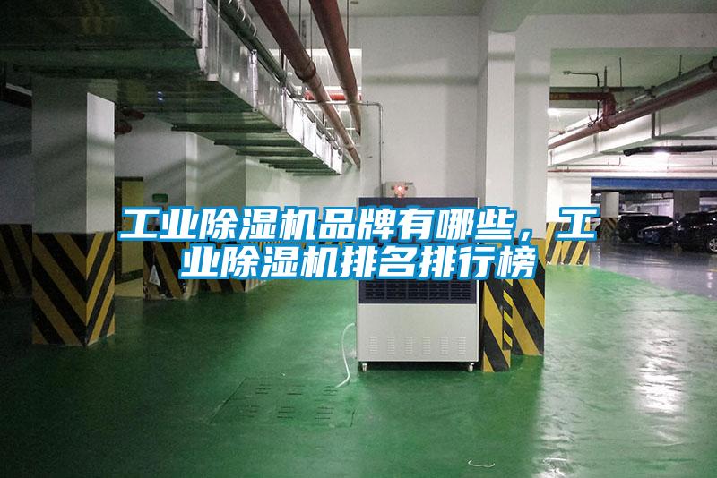 工业茄子视频懂你更多在线观看品牌有哪些，工业茄子视频懂你更多在线观看排名排行榜