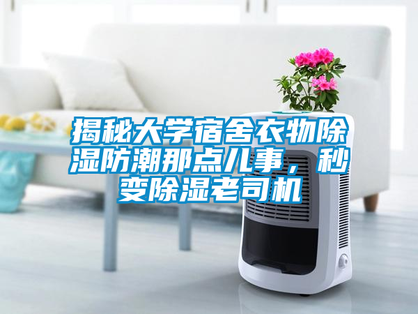 揭秘大学宿舍衣物除湿防潮那点儿事，秒变除湿老司机