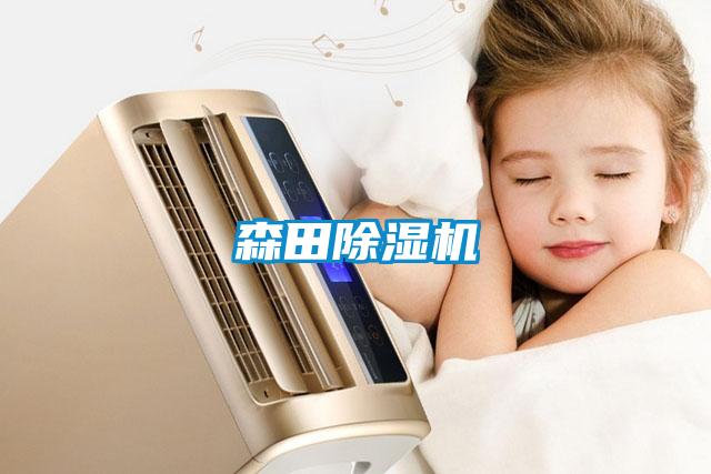 森田茄子视频懂你更多在线观看