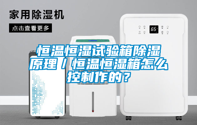 恒温恒湿试验箱除湿原理／恒温恒湿箱怎么控制作的？