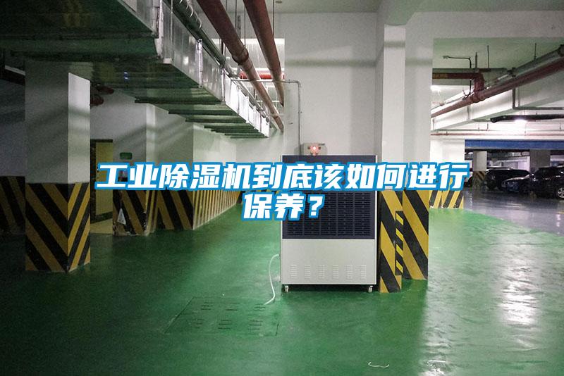 工业茄子视频懂你更多在线观看到底该如何进行保养？