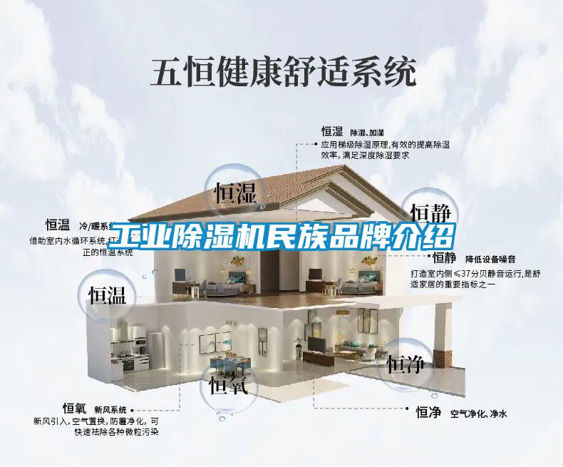 工业茄子视频懂你更多在线观看民族品牌介绍