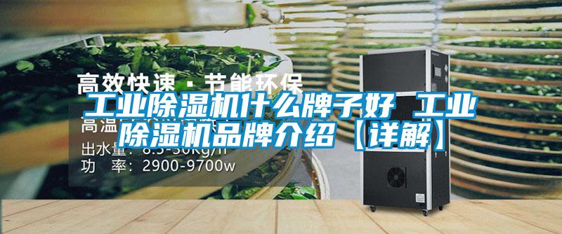 工业茄子视频懂你更多在线观看什么牌子好 工业茄子视频懂你更多在线观看品牌介绍【详解】