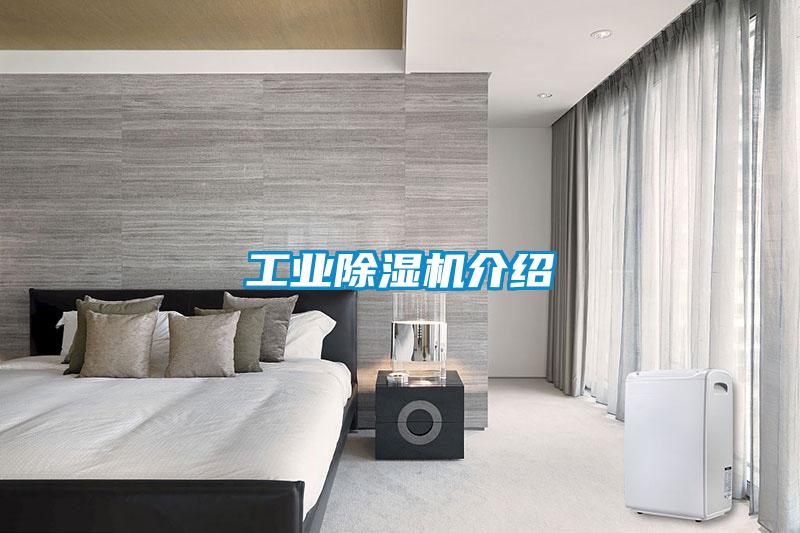 工业茄子视频懂你更多在线观看介绍