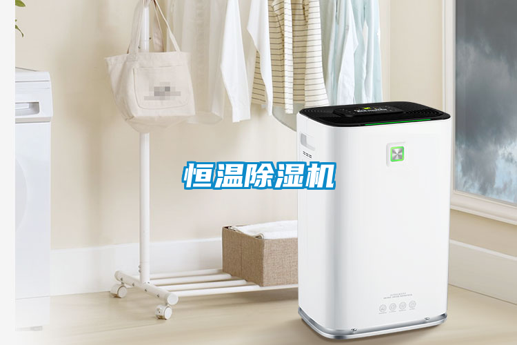 恒温茄子视频懂你更多在线观看