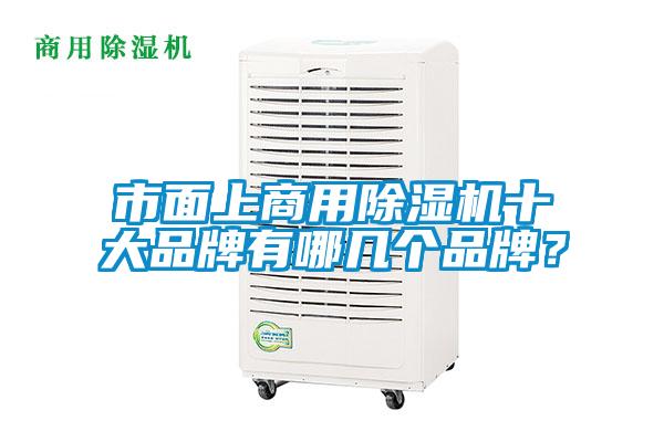 市面上商用茄子视频懂你更多在线观看十大品牌有哪几个品牌？