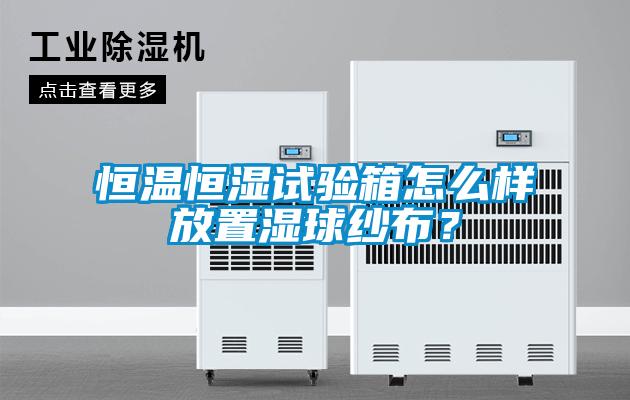 恒温恒湿试验箱怎么样放置湿球纱布？