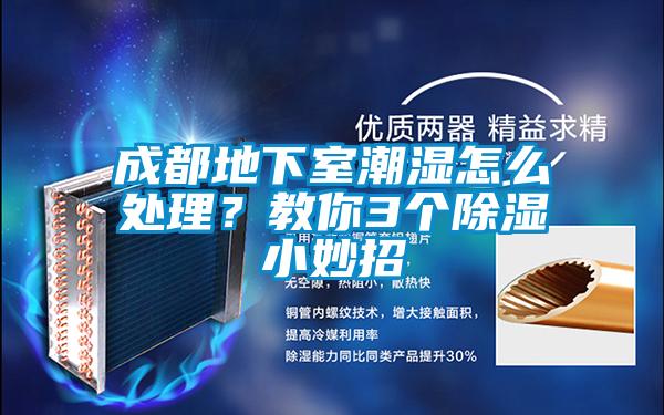 成都地下室潮湿怎么处理？教你3个除湿小妙招