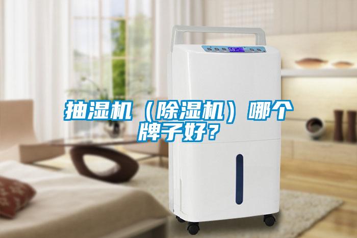 抽湿机（茄子视频懂你更多在线观看）哪个牌子好？