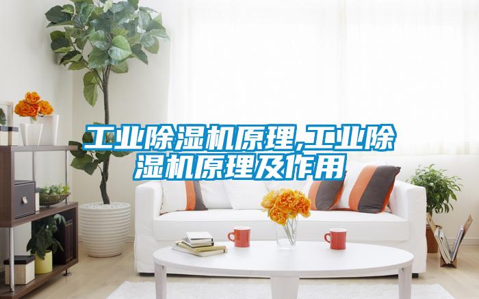 工业茄子视频懂你更多在线观看原理,工业茄子视频懂你更多在线观看原理及作用