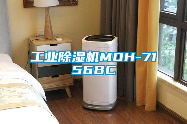 工业茄子视频懂你更多在线观看MOH-7156BC