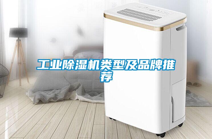 工业茄子视频懂你更多在线观看类型及品牌推荐