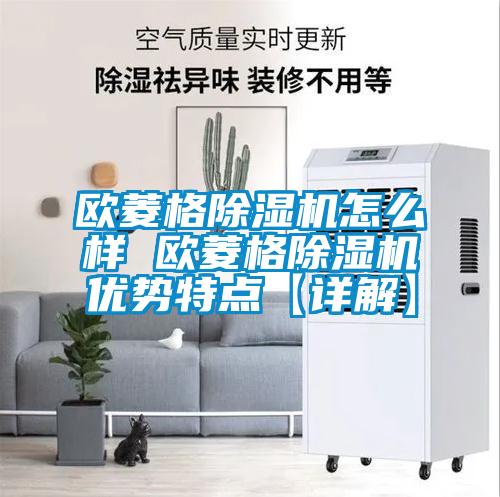 欧菱格茄子视频懂你更多在线观看怎么样 欧菱格茄子视频懂你更多在线观看优势特点【详解】