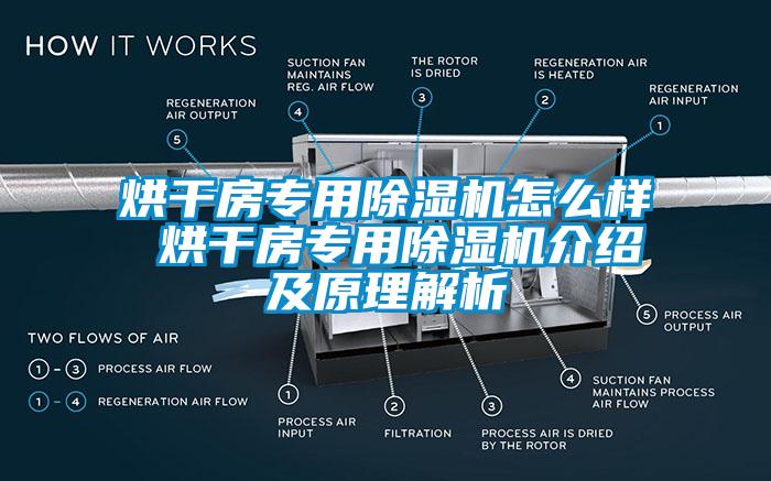 烘干房专用茄子视频懂你更多在线观看怎么样 烘干房专用茄子视频懂你更多在线观看介绍及原理解析