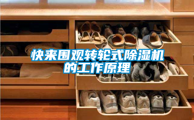 快来围观转轮式茄子视频懂你更多在线观看的工作原理