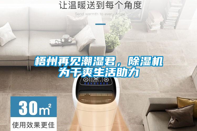梧州再见潮湿君，茄子视频懂你更多在线观看为干爽生活助力