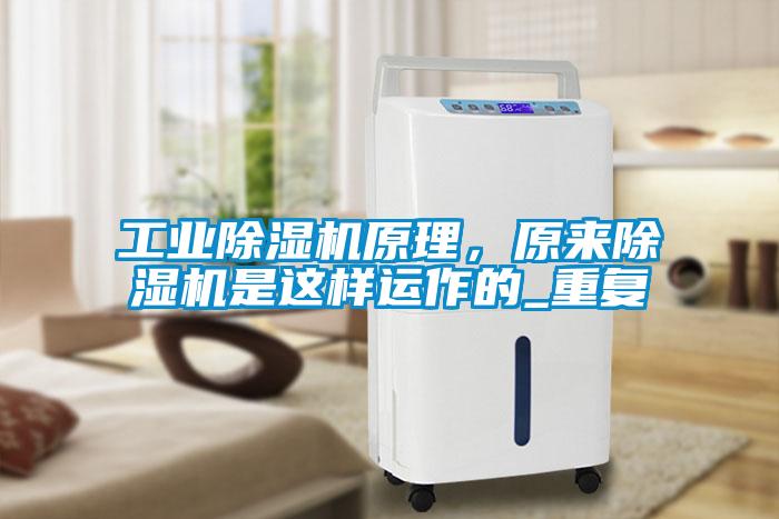 工业茄子视频懂你更多在线观看原理，原来茄子视频懂你更多在线观看是这样运作的_重复