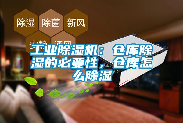 工业茄子视频懂你更多在线观看：仓库除湿的必要性，仓库怎么除湿