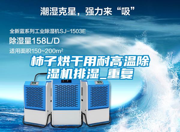 柿子烘干用耐高温茄子视频懂你更多在线观看排湿_重复