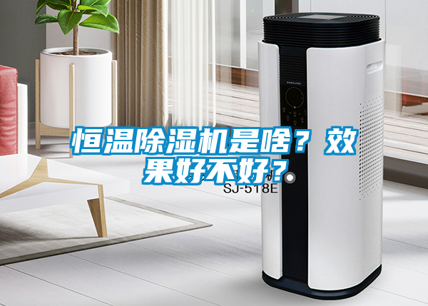 恒温茄子视频懂你更多在线观看是啥？效果好不好？