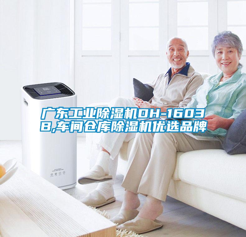 广东工业茄子视频懂你更多在线观看DH-1603B,车间仓库茄子视频懂你更多在线观看优选品牌