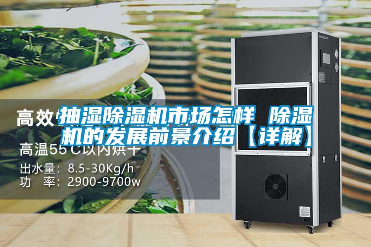抽湿茄子视频懂你更多在线观看市场怎样 茄子视频懂你更多在线观看的发展前景介绍【详解】