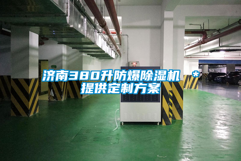 济南380升防爆茄子视频懂你更多在线观看 ＊提供定制方案