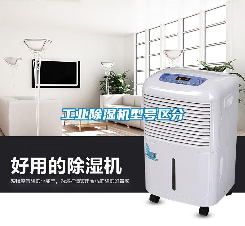 工业茄子视频懂你更多在线观看型号区分