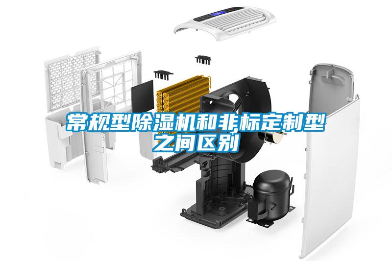 常规型茄子视频懂你更多在线观看和非标定制型之间区别