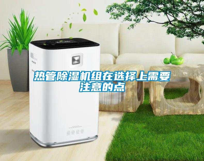热管茄子视频懂你更多在线观看组在选择上需要注意的点
