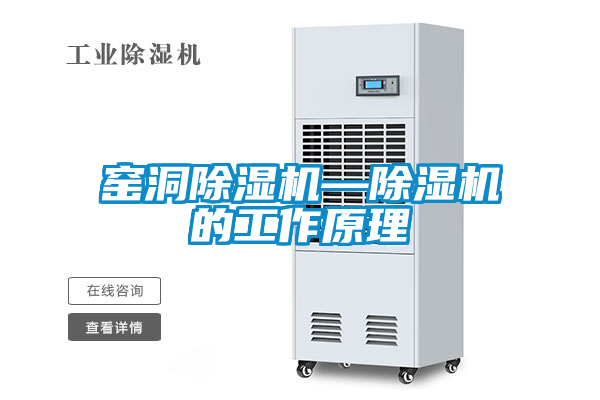 窑洞茄子视频懂你更多在线观看—茄子视频懂你更多在线观看的工作原理