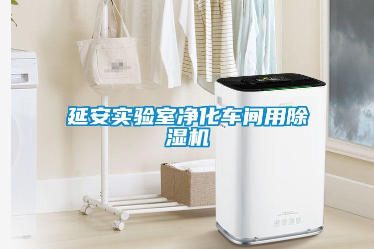 延安实验室净化车间用茄子视频懂你更多在线观看