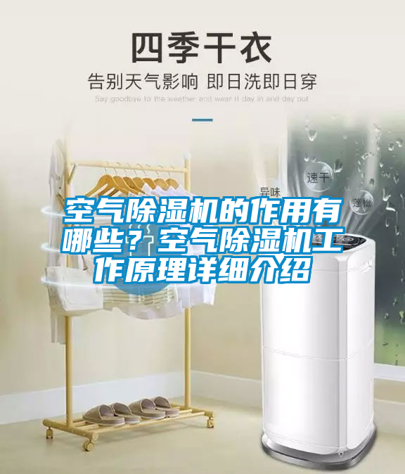 空气茄子视频懂你更多在线观看的作用有哪些？空气茄子视频懂你更多在线观看工作原理详细介绍