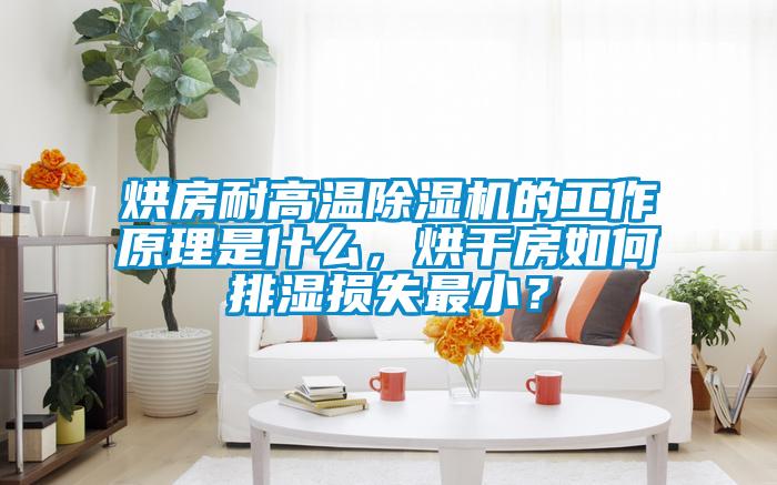 烘房耐高温茄子视频懂你更多在线观看的工作原理是什么，烘干房如何排湿损失最小？