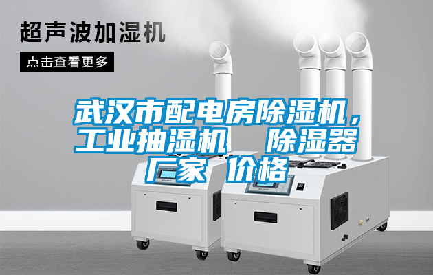 武汉市配电房茄子视频懂你更多在线观看，工业抽湿机  除湿器厂家 价格