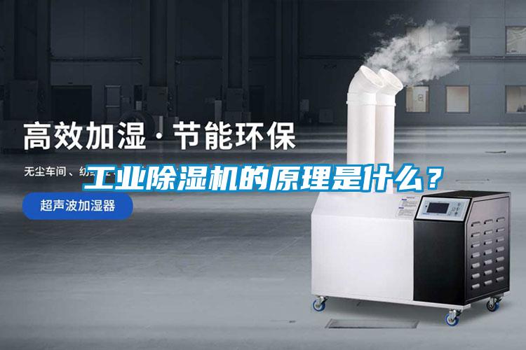 工业茄子视频懂你更多在线观看的原理是什么？
