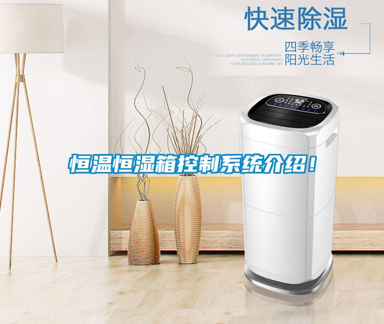 恒温恒湿箱控制系统介绍！