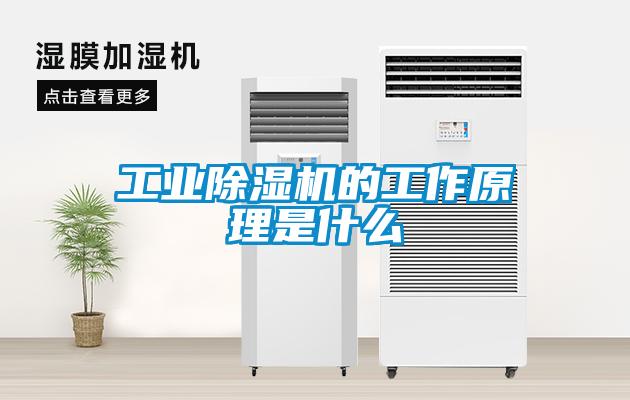 工业茄子视频懂你更多在线观看的工作原理是什么