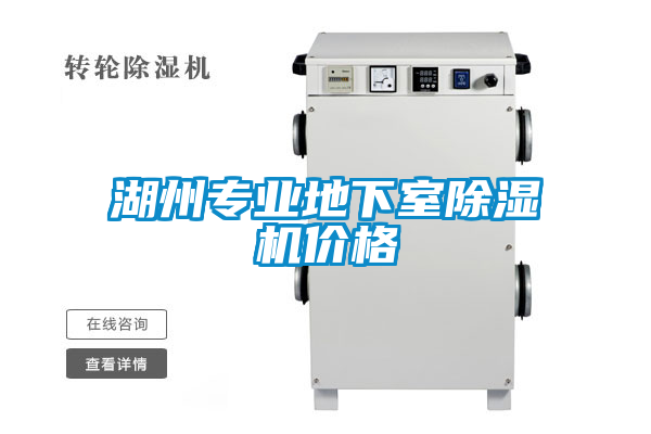 湖州专业地下室茄子视频懂你更多在线观看价格