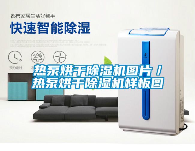 热泵烘干茄子视频懂你更多在线观看图片／热泵烘干茄子视频懂你更多在线观看样板图