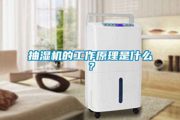 抽湿机的工作原理是什么？