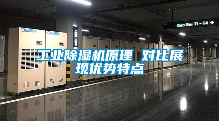工业茄子视频懂你更多在线观看原理 对比展现优势特点