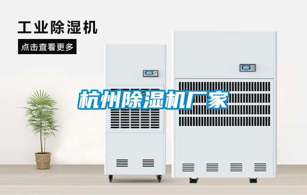 杭州茄子视频懂你更多在线观看厂家