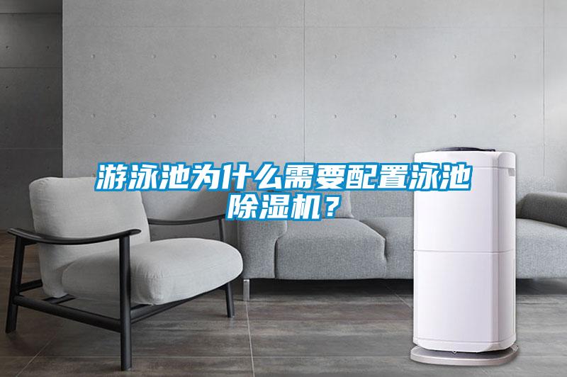 游泳池为什么需要配置泳池茄子视频懂你更多在线观看？