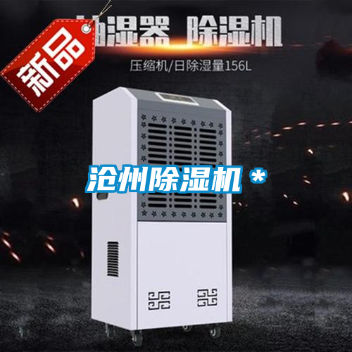 沧州茄子视频懂你更多在线观看＊