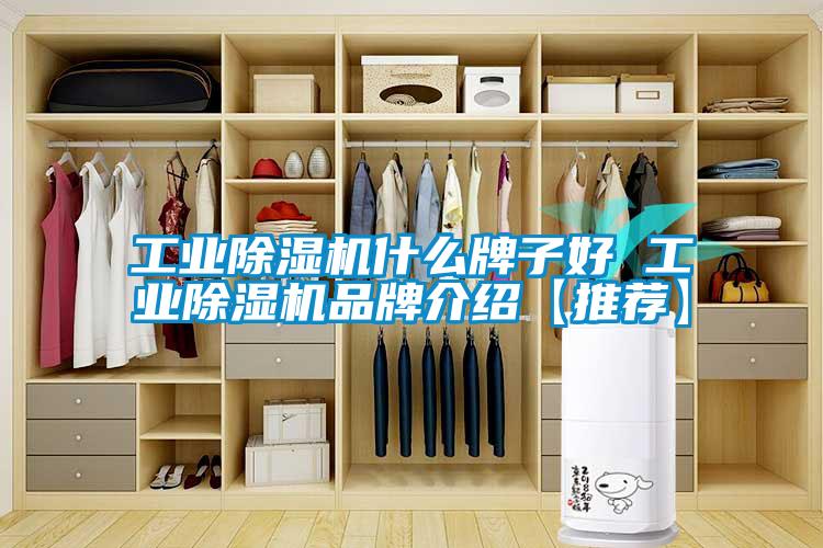 工业茄子视频懂你更多在线观看什么牌子好 工业茄子视频懂你更多在线观看品牌介绍【推荐】